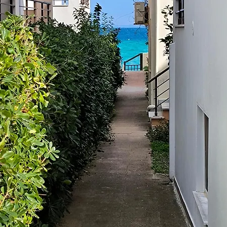 Waves * 波利克罗诺